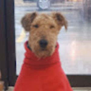 Meet your Posher, Erika